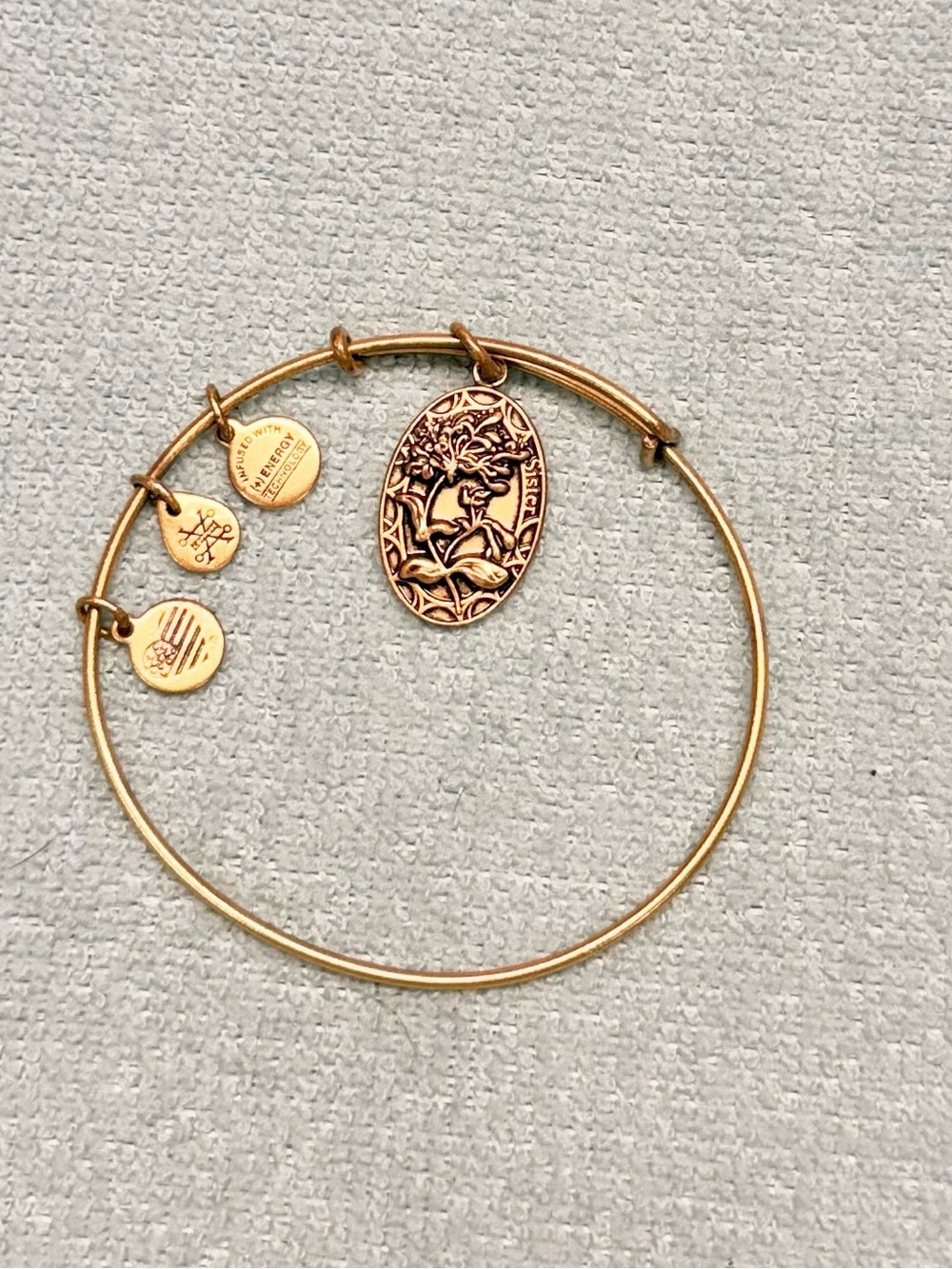 Alex and Ani Gold Tree of Life Charm Bangle Bracelet